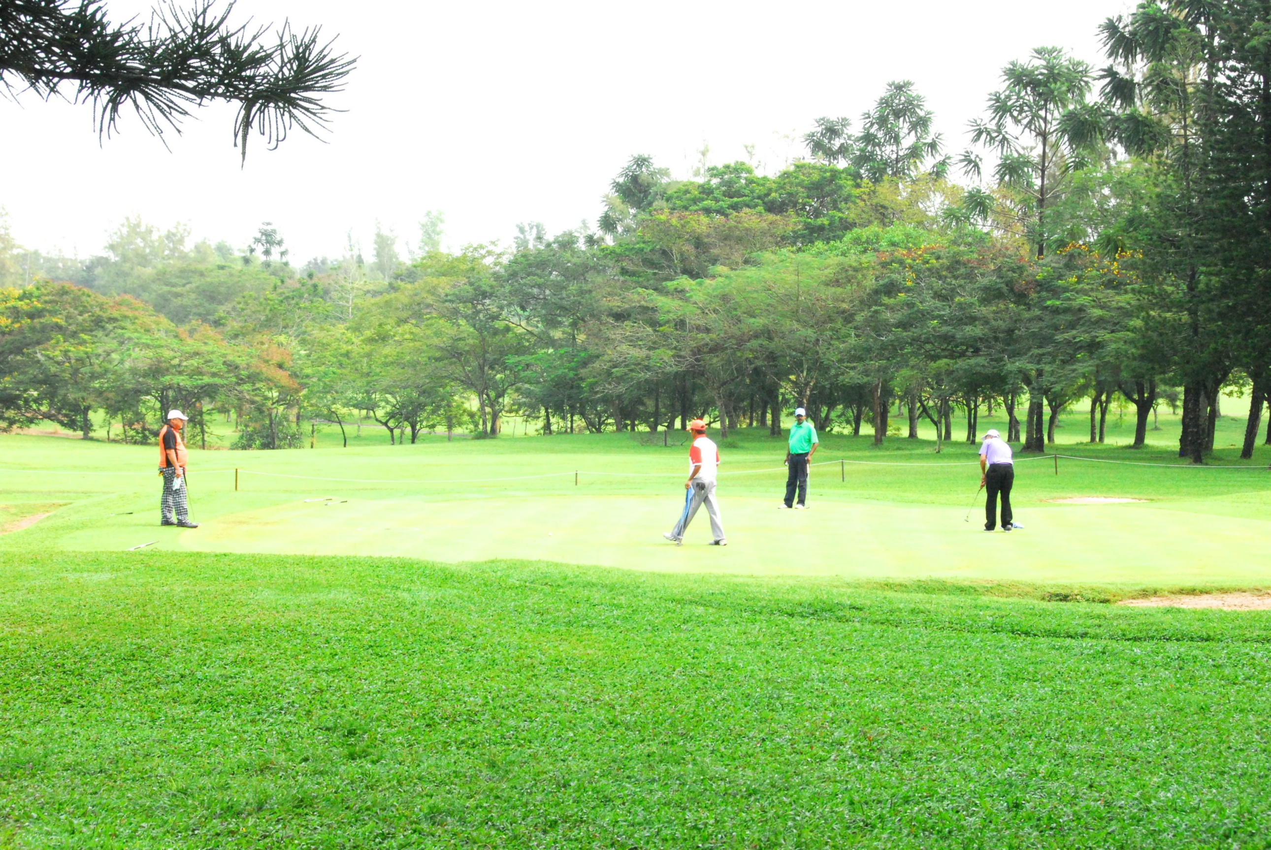 PRO15 157 GOLF DSC 0313.JPG